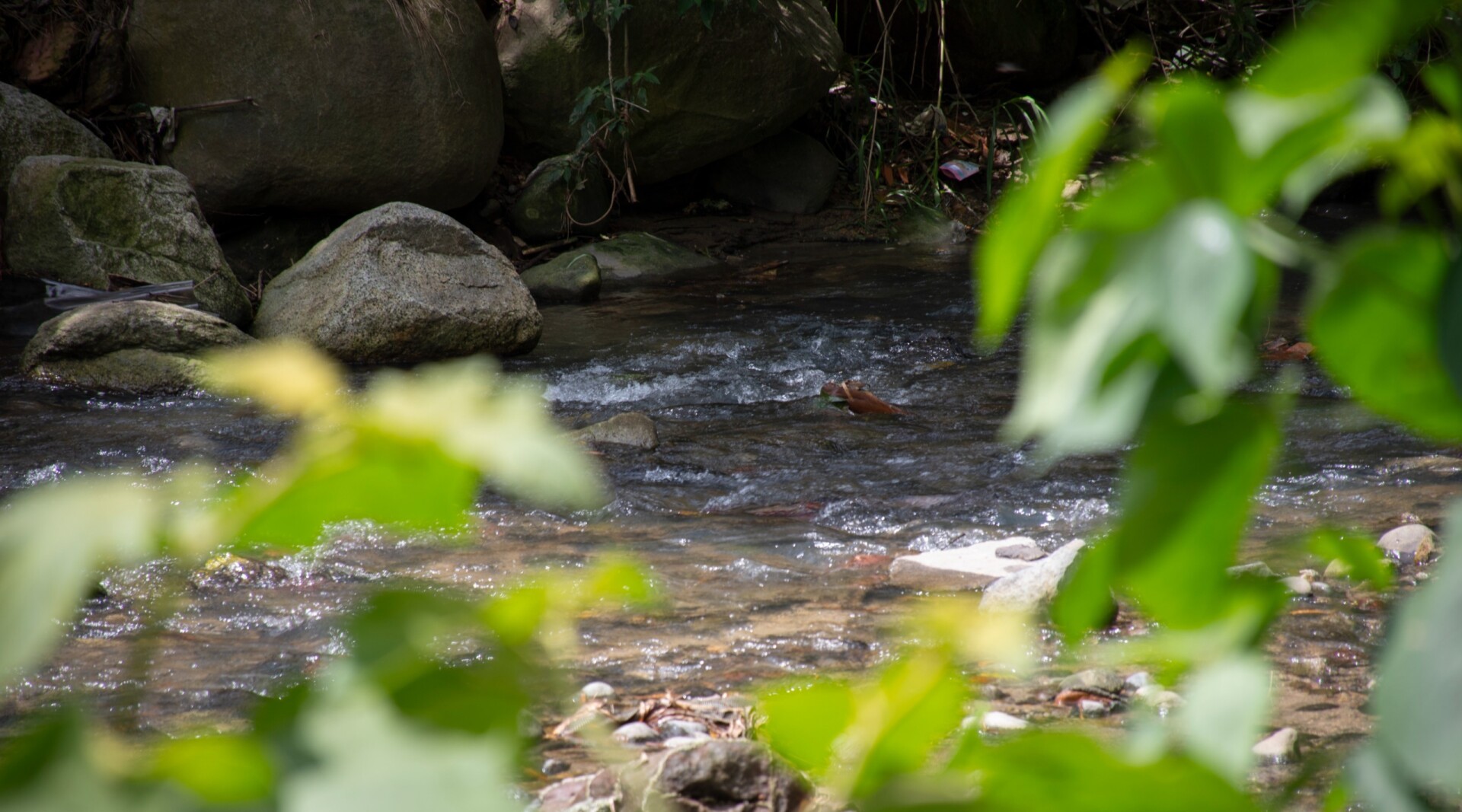 Culmina primera fase de saneamiento del río Chipalo