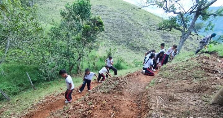 Estudiantes de Rioblanco listos para ingresar a la universidad