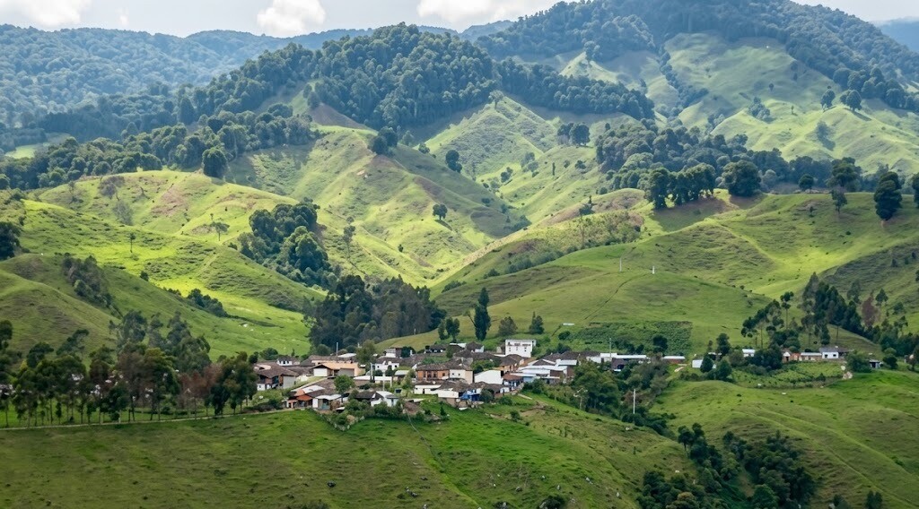 Hallan dos cuerpos sin vida en zona rural de Roncesvalles