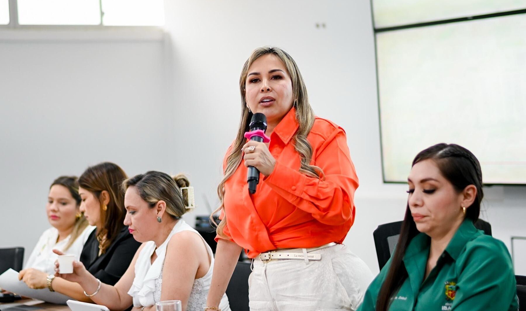 Piden ajustes a la Política Pública de Mujeres de Ibagué