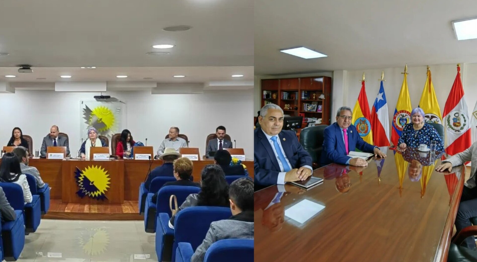 ¿Sabía que existe un Parlamento que representa a los pueblos andinos?