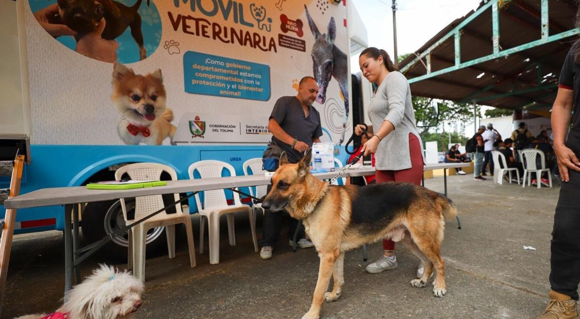 San Antonio, Dolores y Alpujarra, tendrán jornadas de Bienestar animal