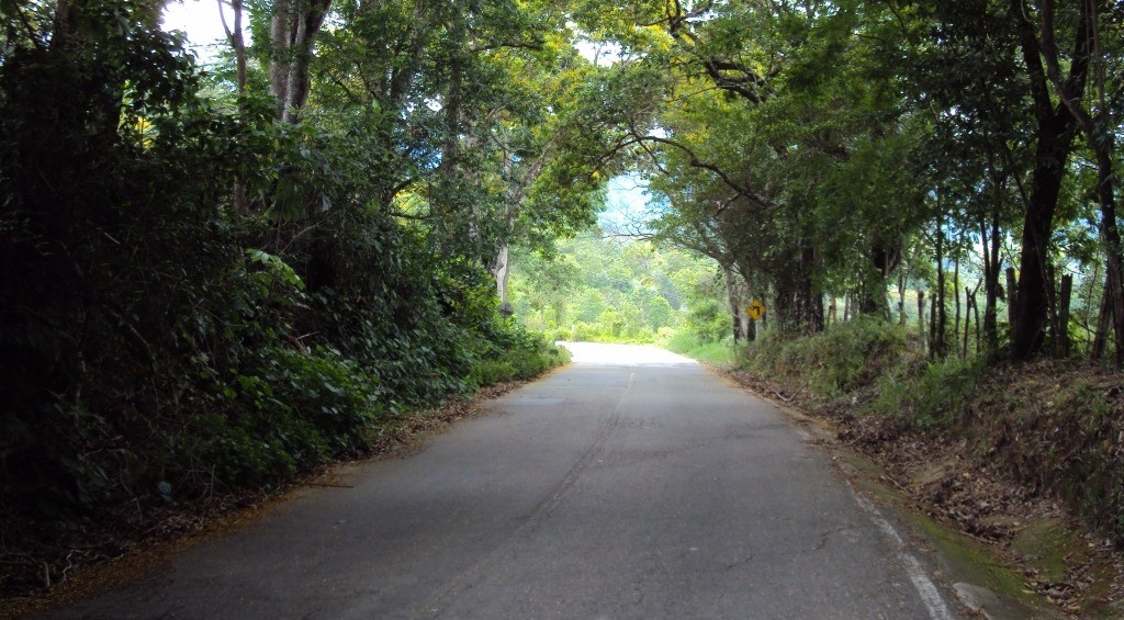 Se abre licitación para pavimentación Melgar-Icononzo