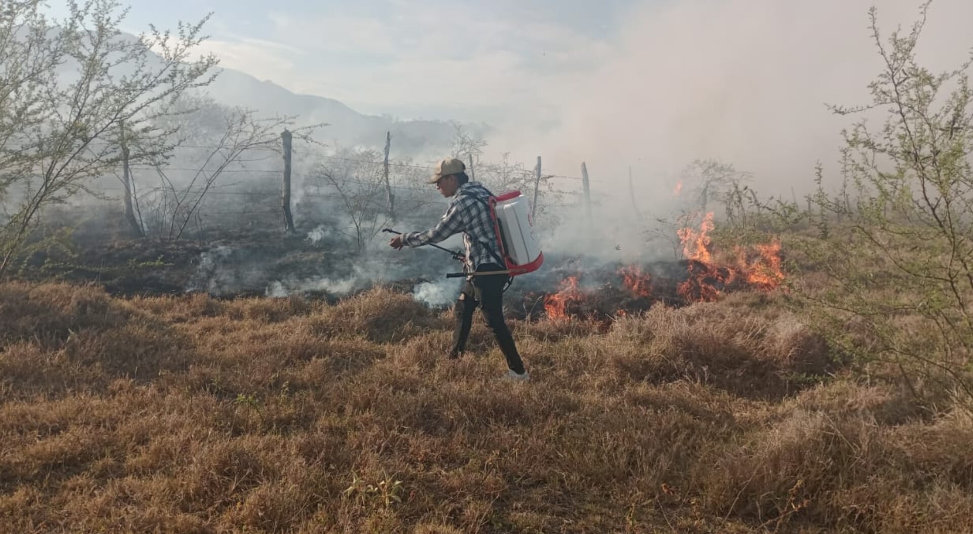 Se intensifican los incendios forestales en el Tolima