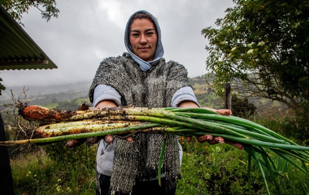“Hemos llenado las neveras de los hogares colombianos de alimentos”: Petro