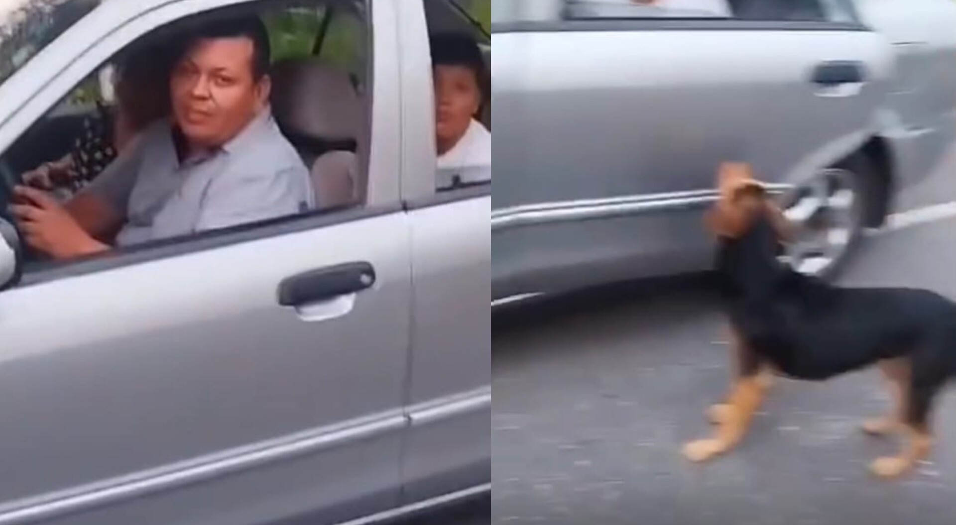 Sorprenden a familia que habría abandonado a su perro en vías del Tolima