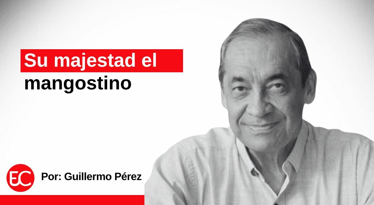 Su majestad el mangostino