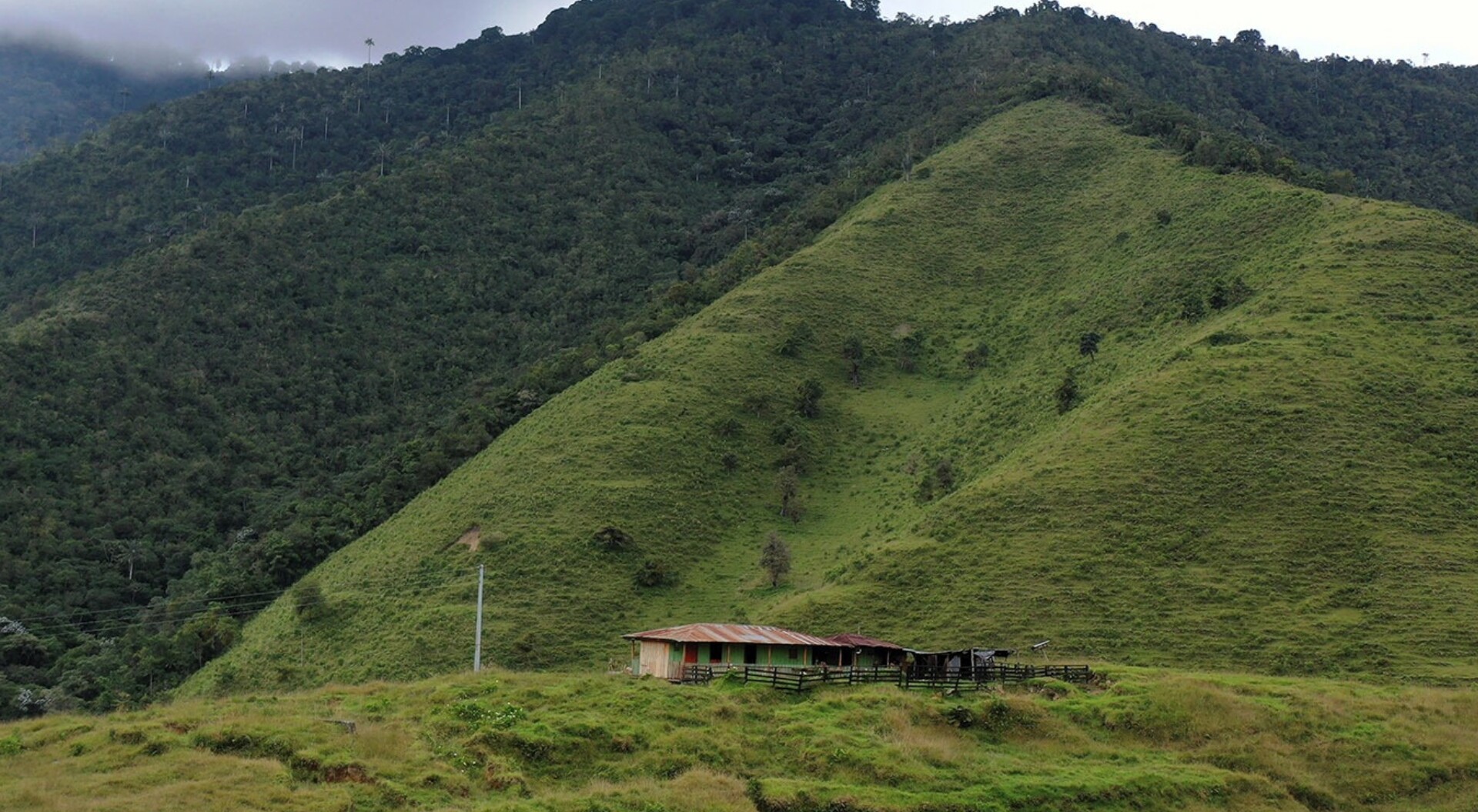 Sur del Tolima: donde los campesinos desplazados nunca retornaron a sus tierras