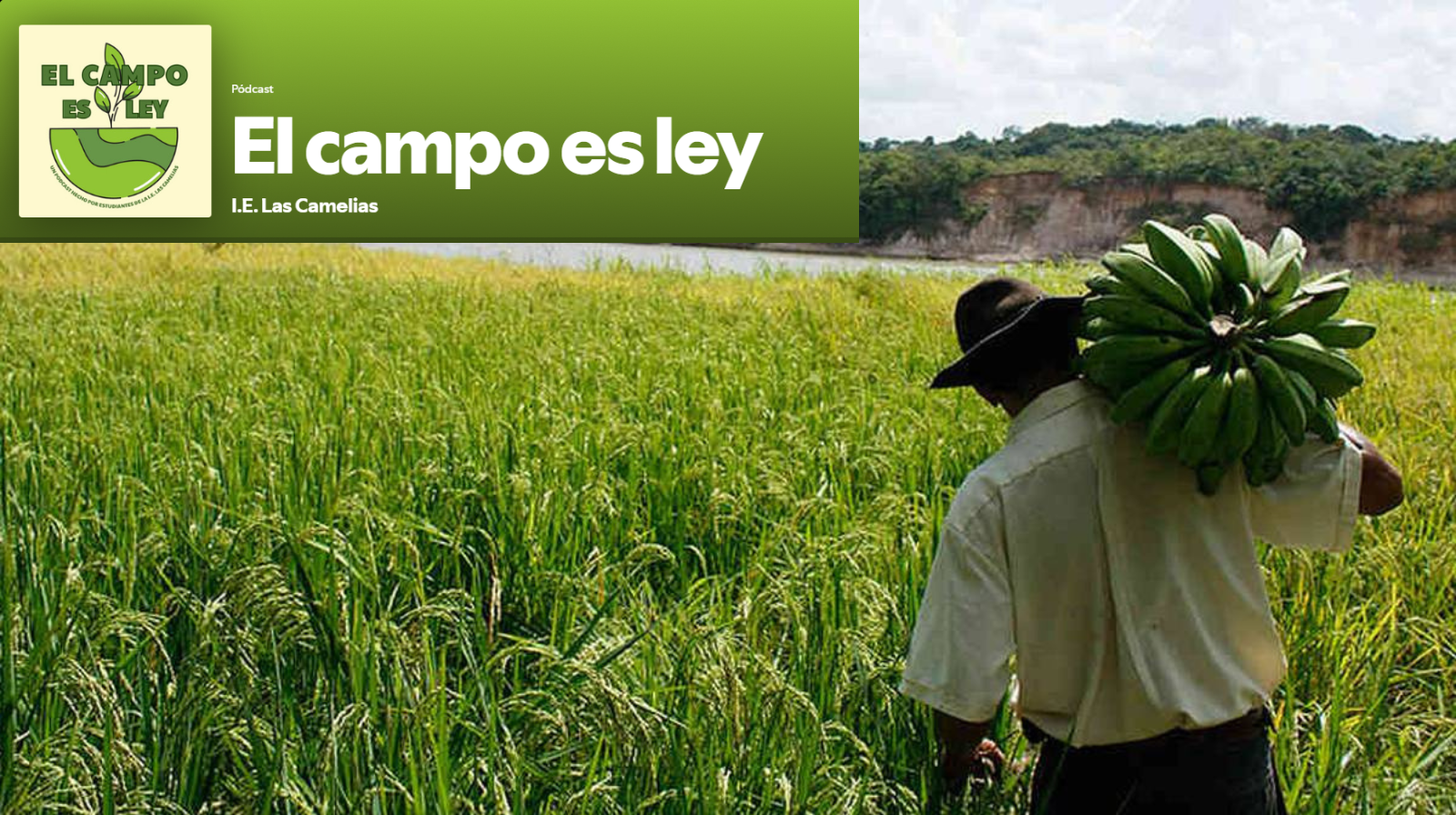 El campo es ley