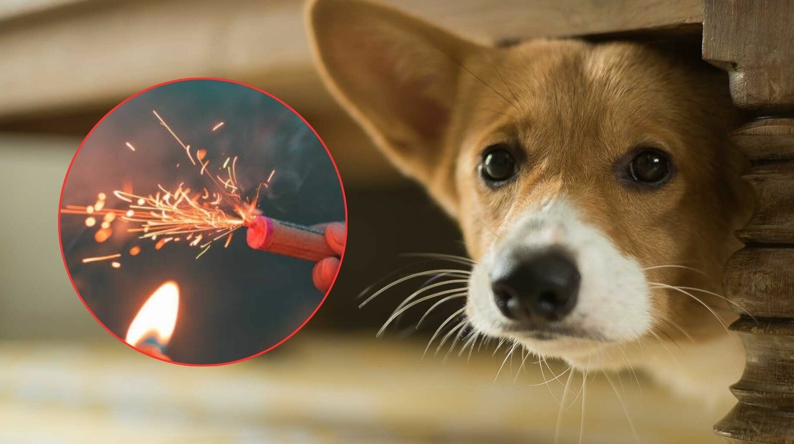 Tolima refuerza llamado contra la pólvora en diciembre