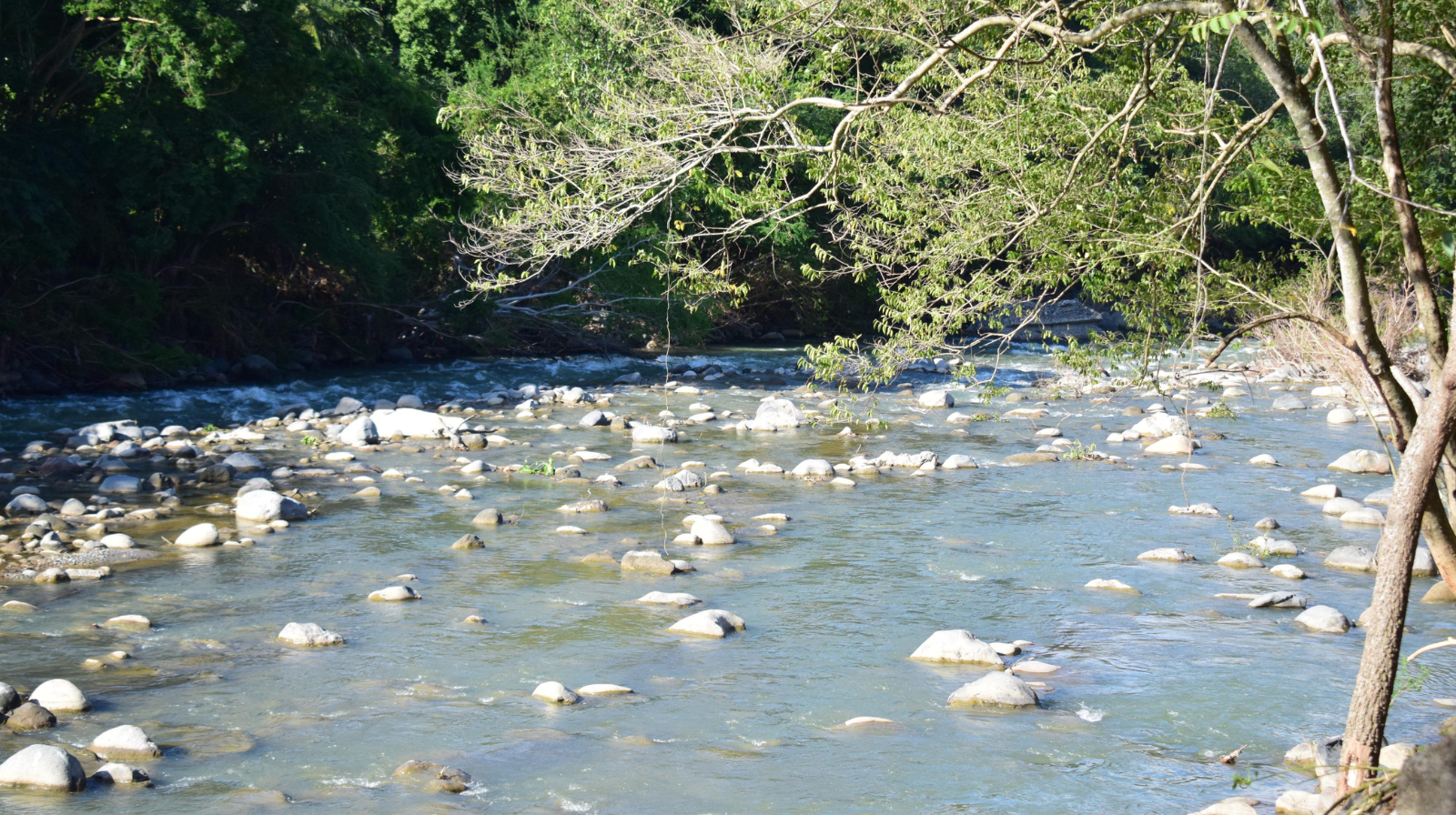 Gobernación del Tolima insiste en evitar paseos de olla por riesgo de crecientes súbitas