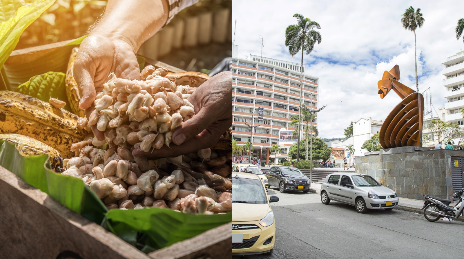Empresas del Tolima podrán postularse a la Ruta de Internacionalización 2026 hasta el 15 de enero