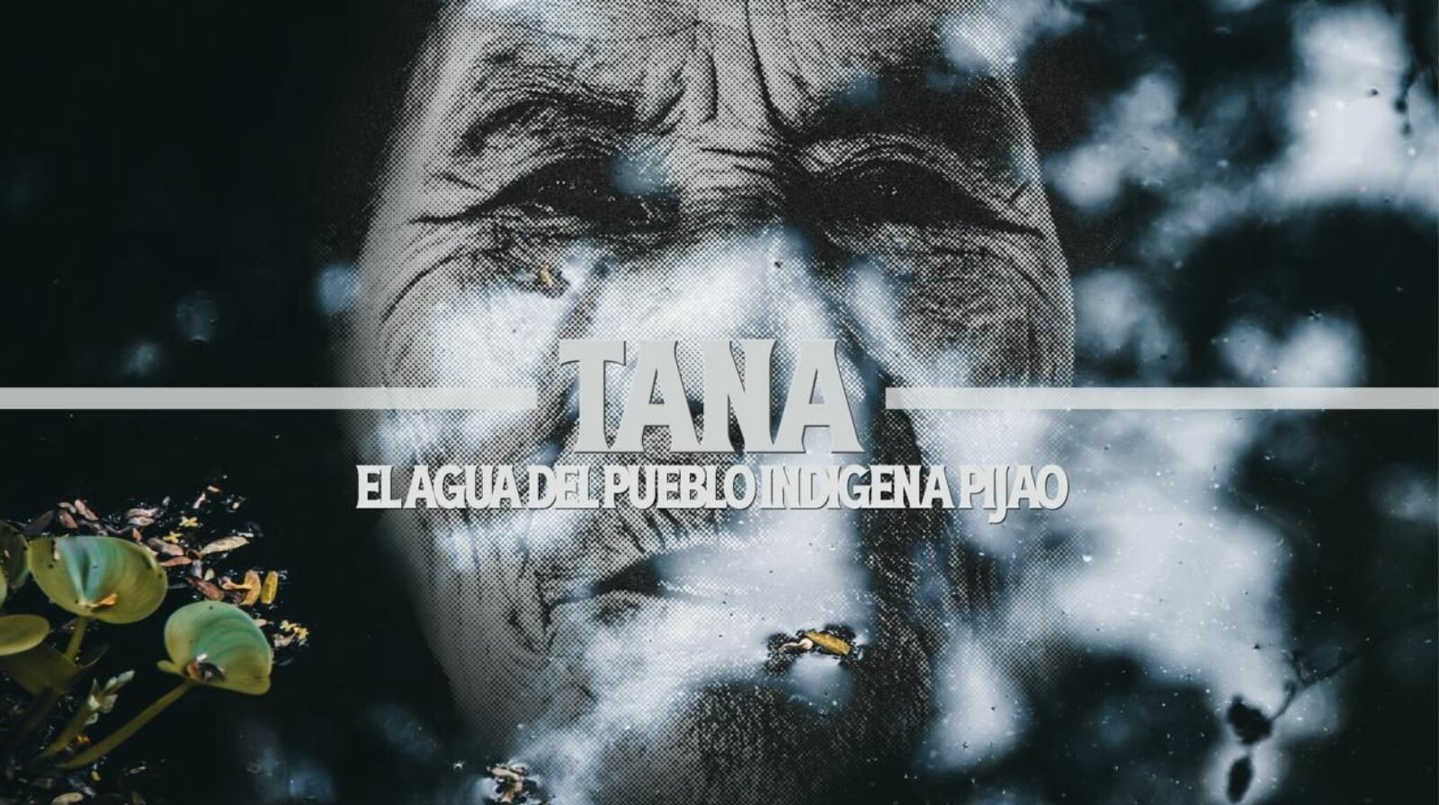 “Tana, el agua del pueblo indígena Pijao” abre la agenda cultural 2026 del Museo Panóptico