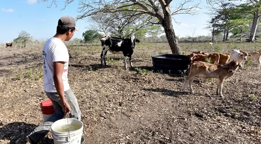 Medidas clave para afrontar la temporada seca en Colombia