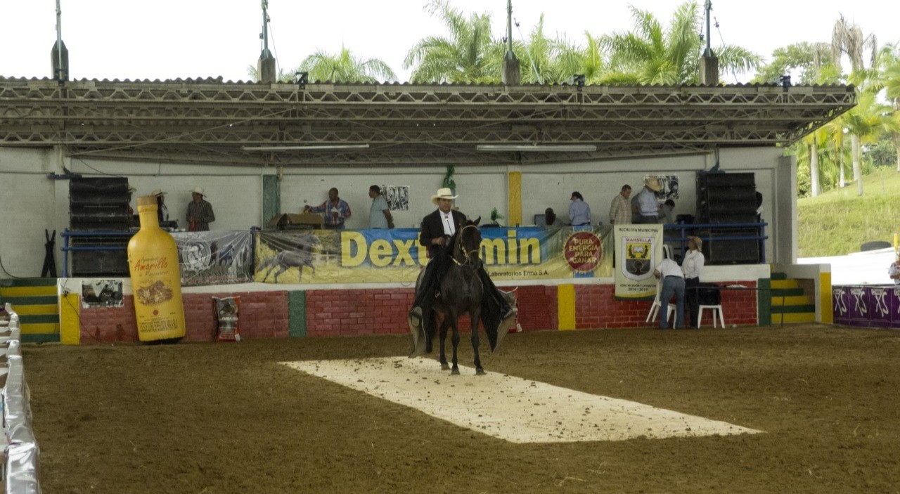 Venadillo realiza Feria Equina Grado B