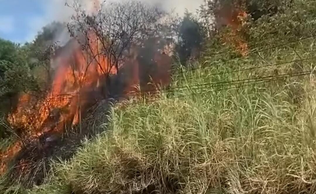 Tragedia. Van 8.000 hectáreas de bosque incendiadas en el Tolima