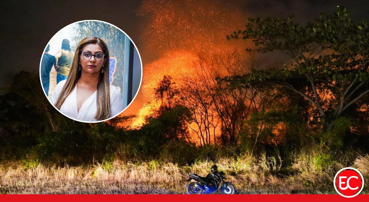 Tras 29 días de emergencia siguen activos nueve incendios en el Tolima