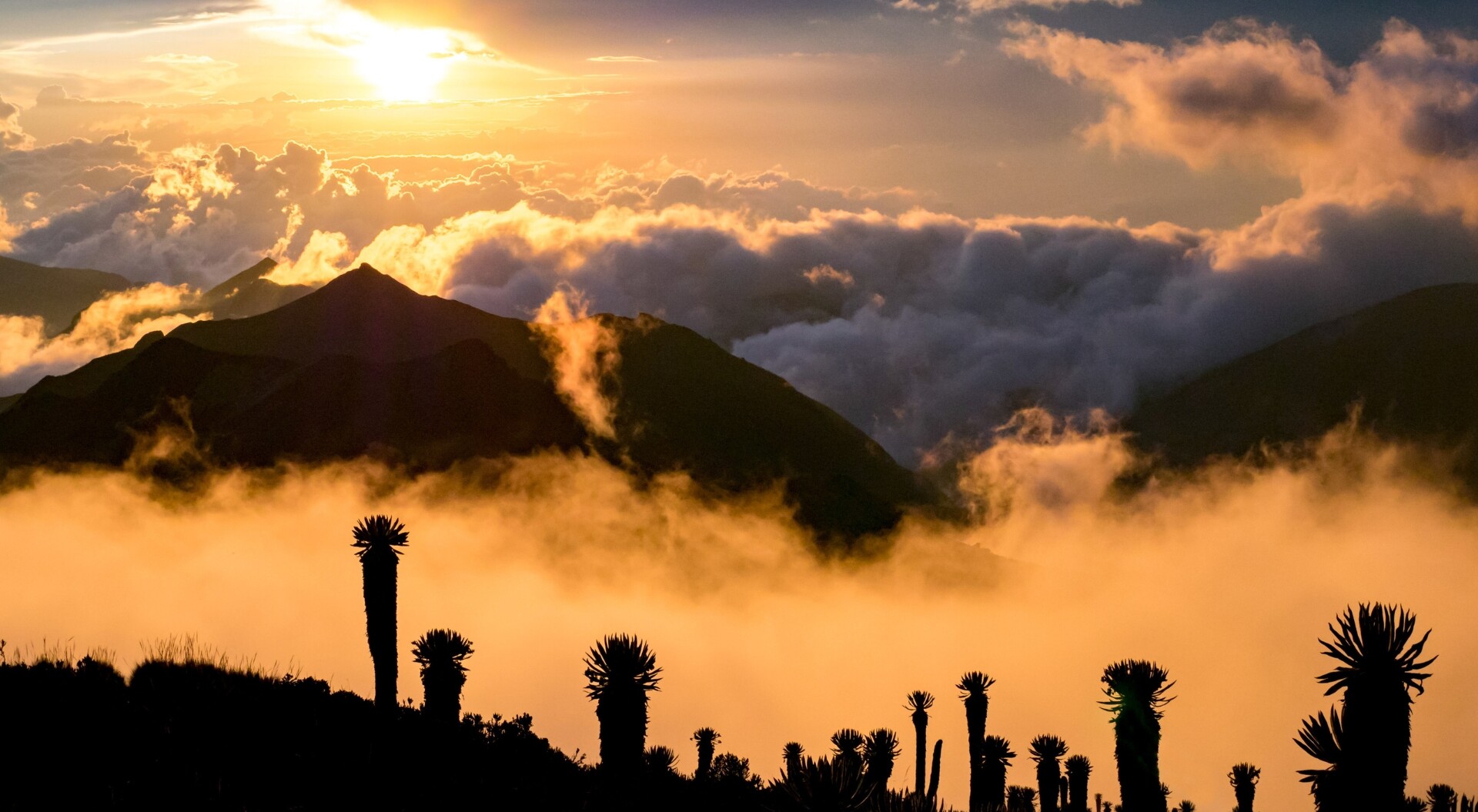 Tres municipios del Tolima que debes visitar