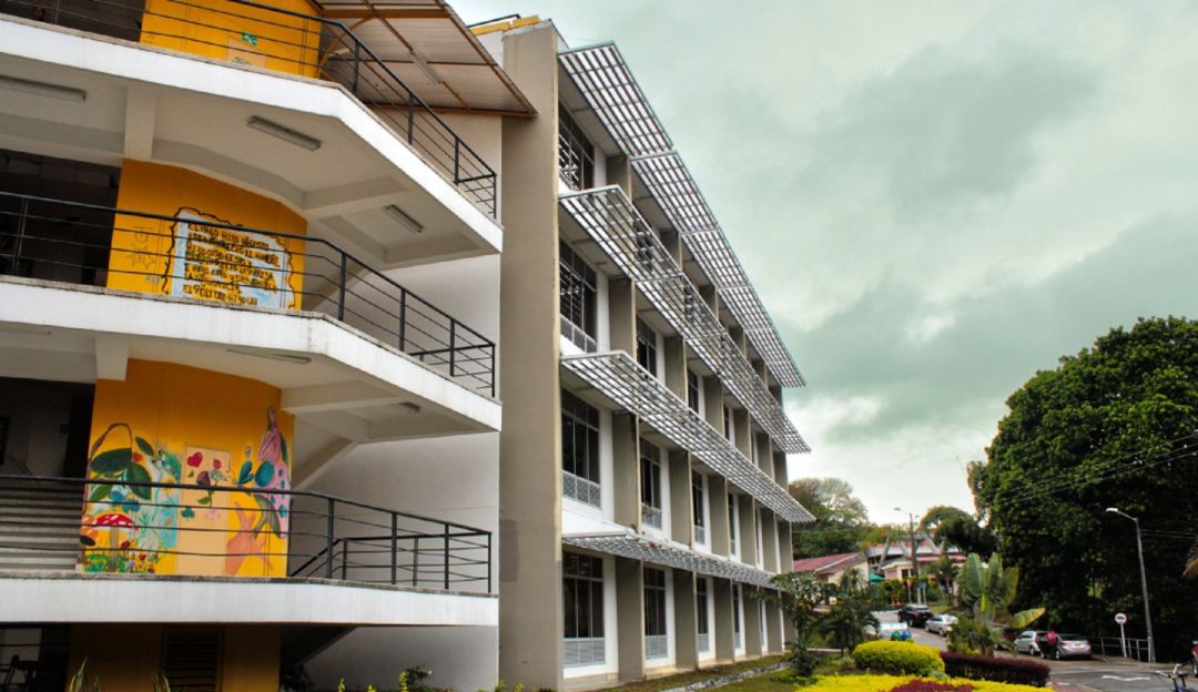Universidad del Tolima abrió inscripciones gratis para programas de pregrado