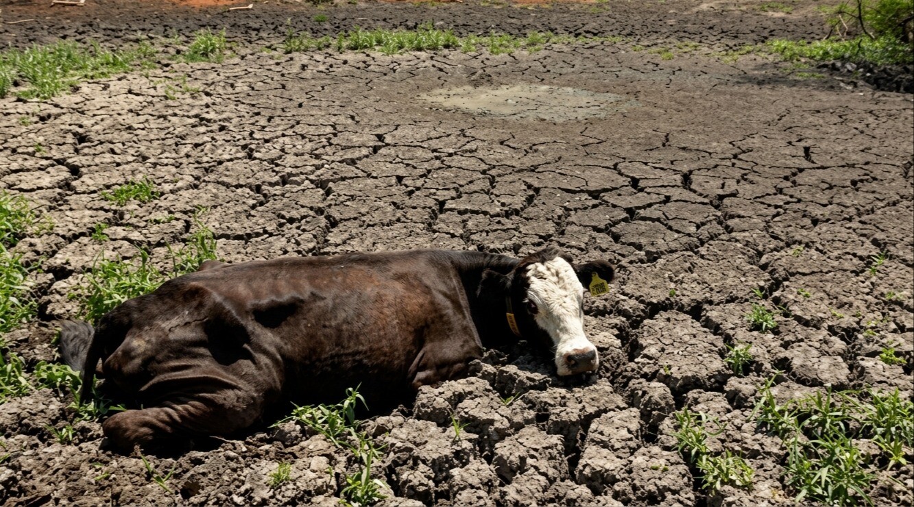La OMM advierte sobre la intensificación del Fenómeno de El Niño