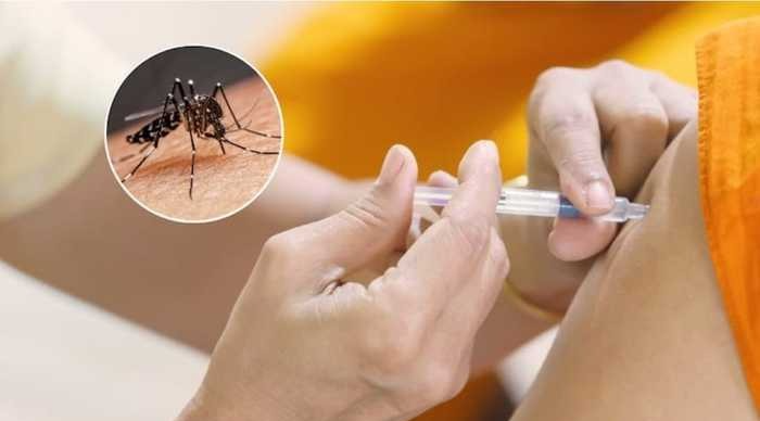 "Necesitamos que todos los tolimenses se vacunen": Gobernadora Matiz