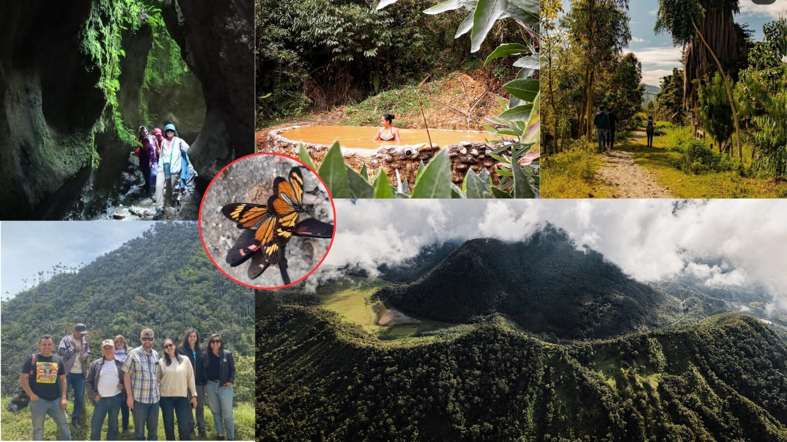 Vive Toche, una iniciativa turística que combina historia, cultura y conciencia ambiental de Ibagué