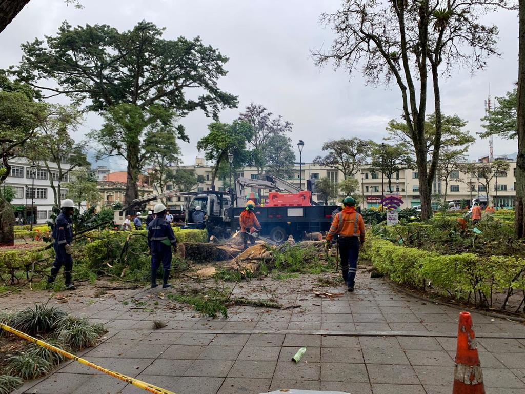 Lluvias y tormentas eléctricas dejaron emergencias en  sectores de Ibagué