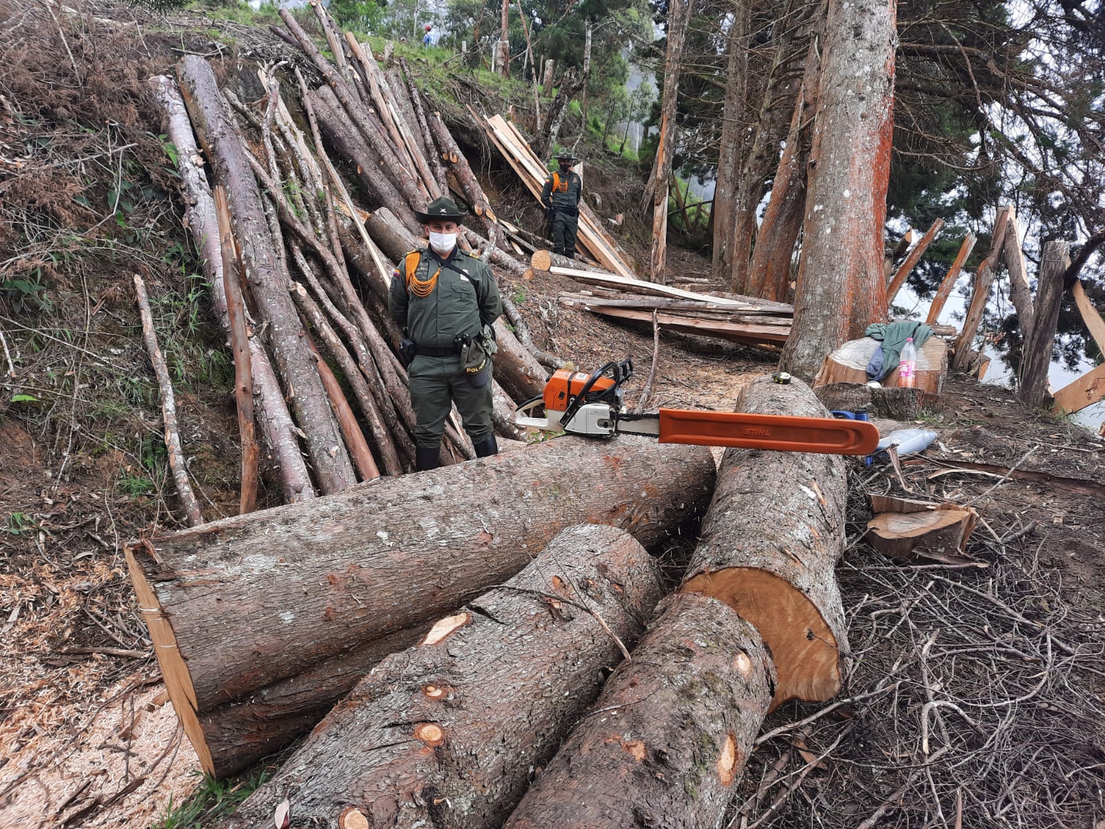 Policía incauta madera y moto-sierra en Anzoátegui