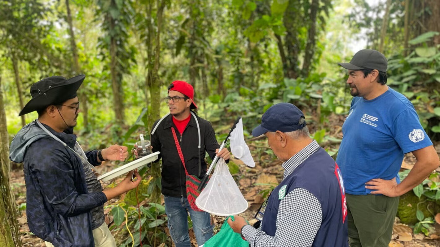 Vigilancia comunitaria, eslabón que sostiene la respuesta del Tolima frente a la fiebre amarilla