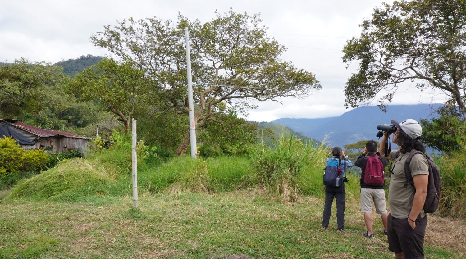 Ibagué revive su historia: apertura oficial del Camino Nacional