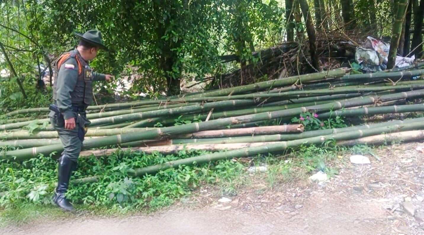 Policía incauta madera y guadua taladas ilegalmente en Ibagué