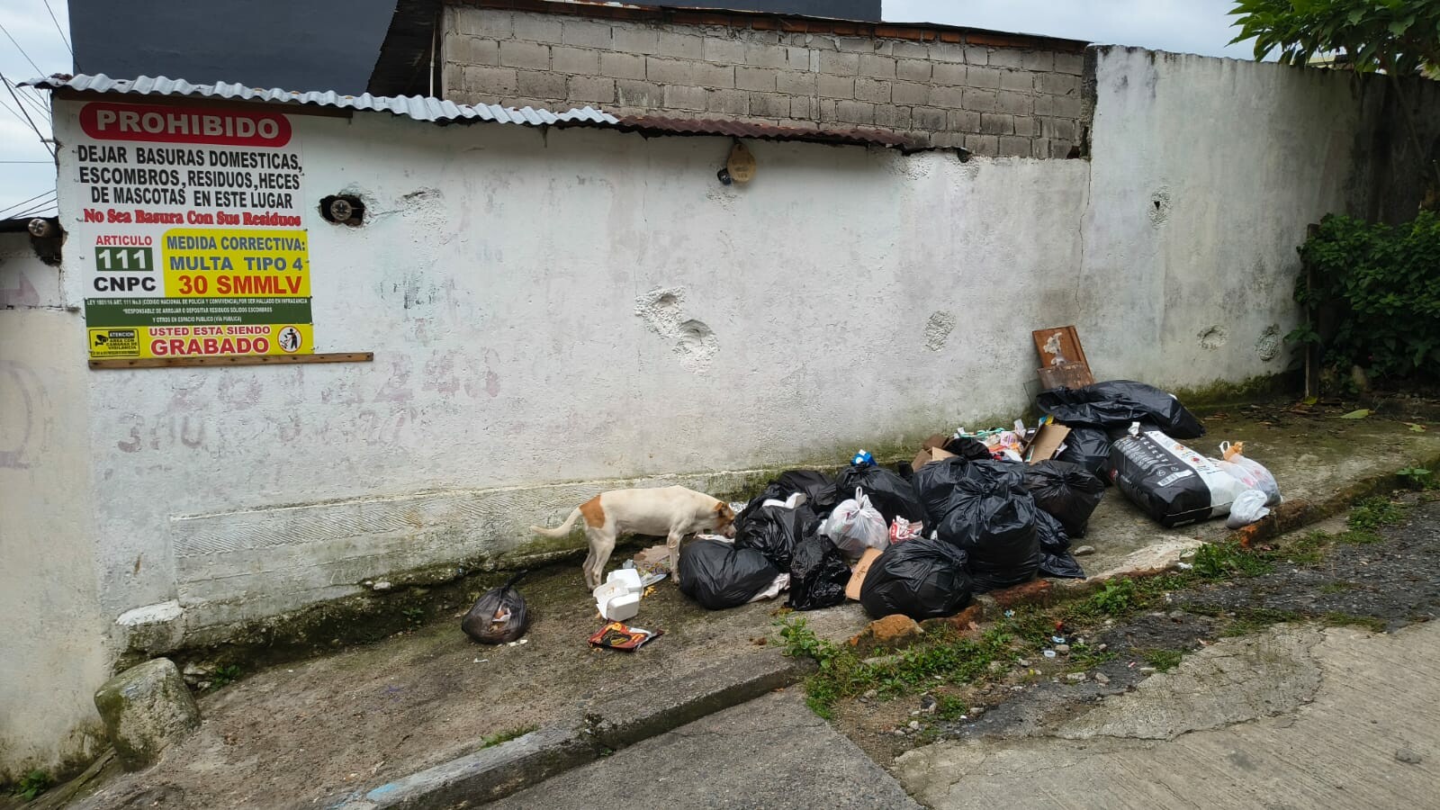 Basuras y amenazas: El calvario de los vecinos en el barrio La Paz