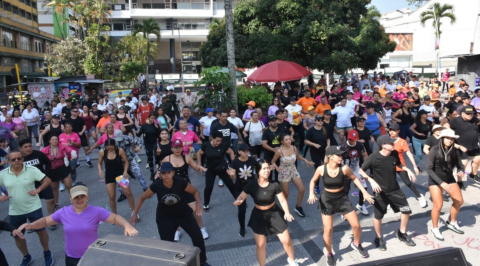 Ibagué vibró al ritmo de la legalidad y el bienestar femenino