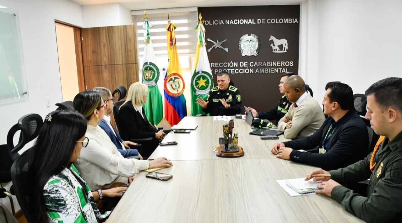 Policía Nacional y Cortolima reportan intervención contra minería en Ataco