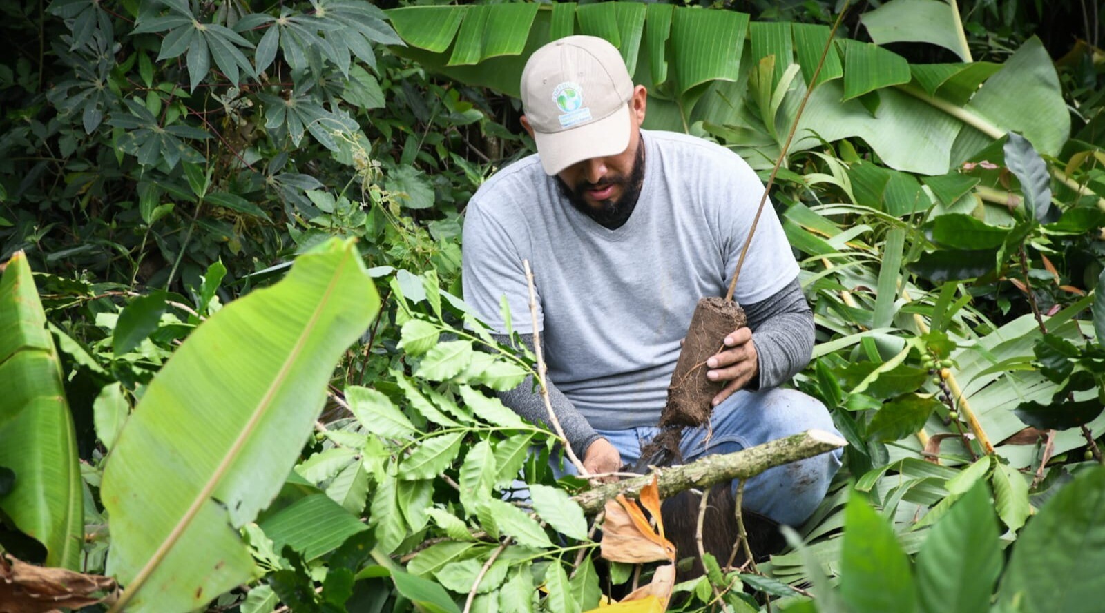 Regalías financiarán la restauración ambiental en el Tolima
