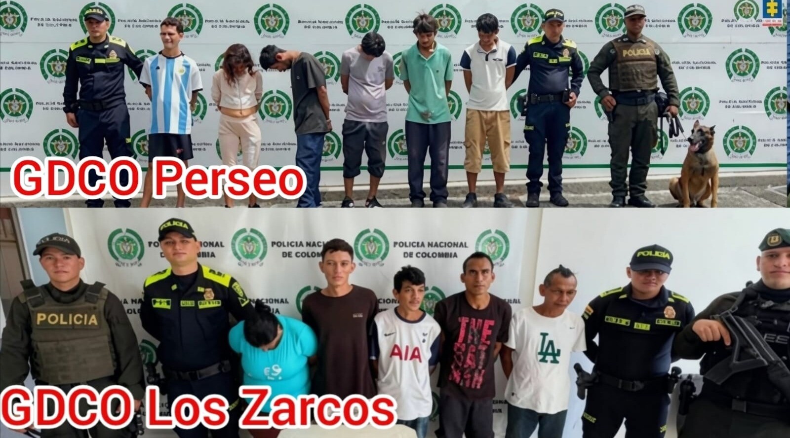 Golpe al tráfico de estupefacientes y narcomenudeo en el Tolima