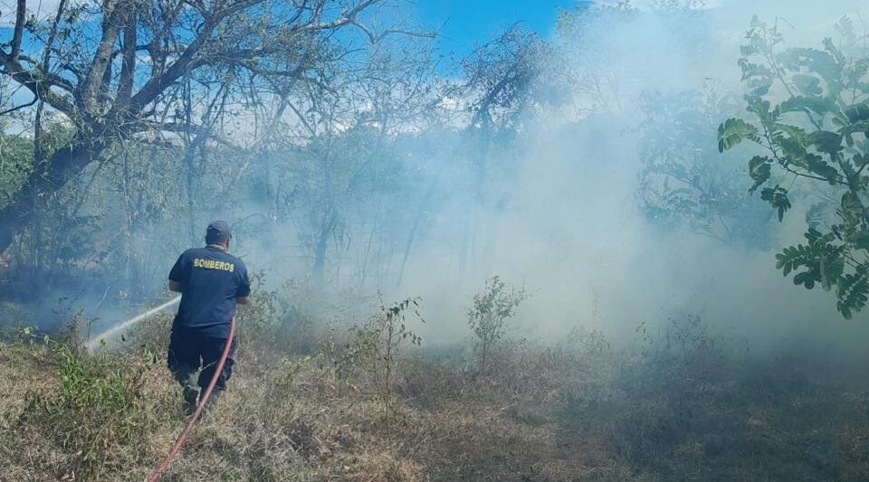 Una llamada a tiempo puede frenar los incendios forestales en el Tolima