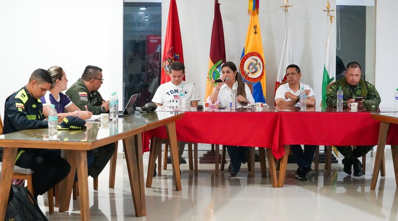 Gobernadora convoca consejo de seguridad extraordinario en el sur del Tolima