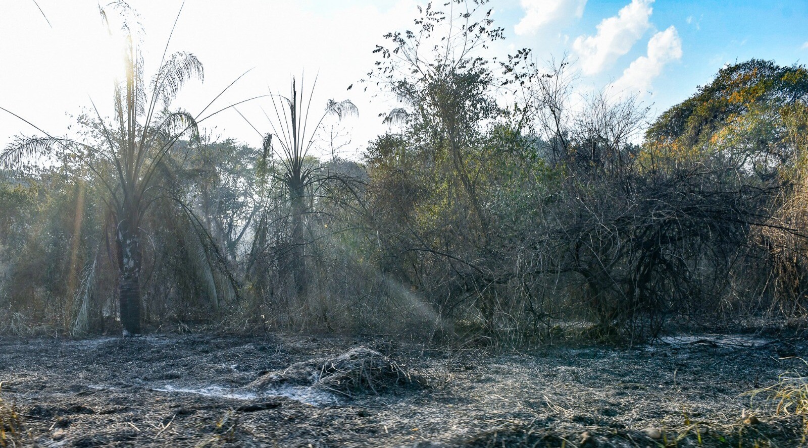 El Tolima pide ayudas del Fondo Milagro al Gobierno tras incendios provocados