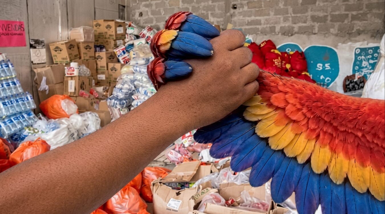 Tiendas Ara aporta ocho toneladas de alimentos para atender calamidad en el Tolima