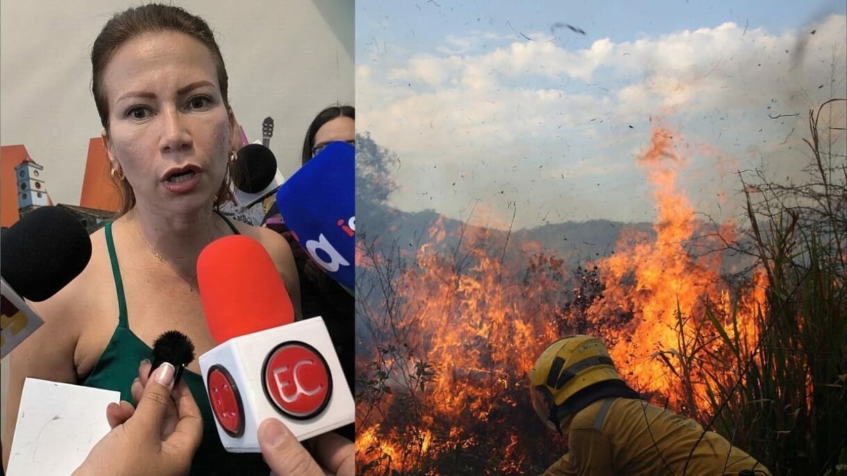 Tres incendios forestales activos en Cunday, Chaparral, y San Luis