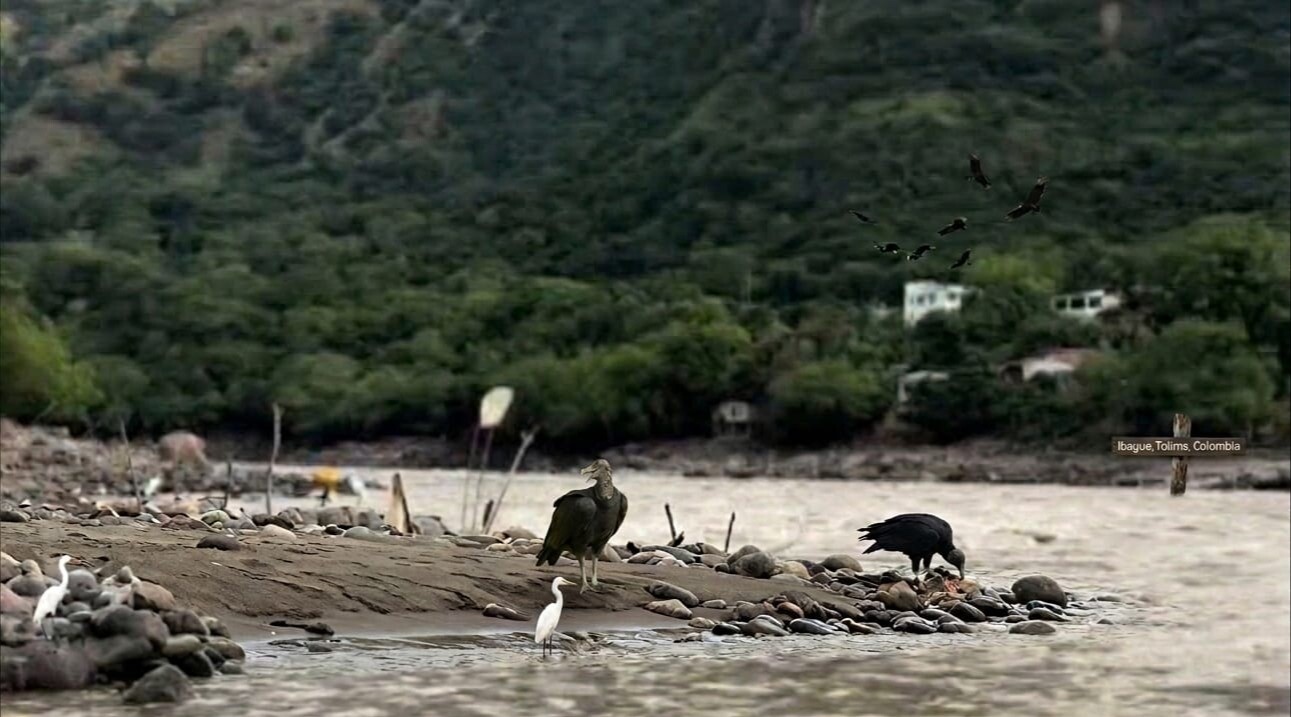 Doble homicidio en Honda: hallan a dos desaparecidos en el río Magdalena