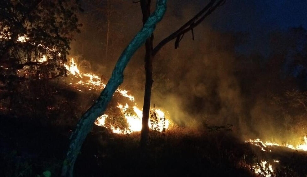 Prado y Ataco bajo atención especial por emergencias forestales