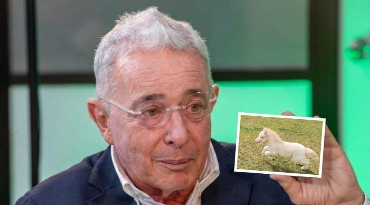 Ex presidente Álvaro Uribe dona caballo a la Arquidiócesis de Ibagué