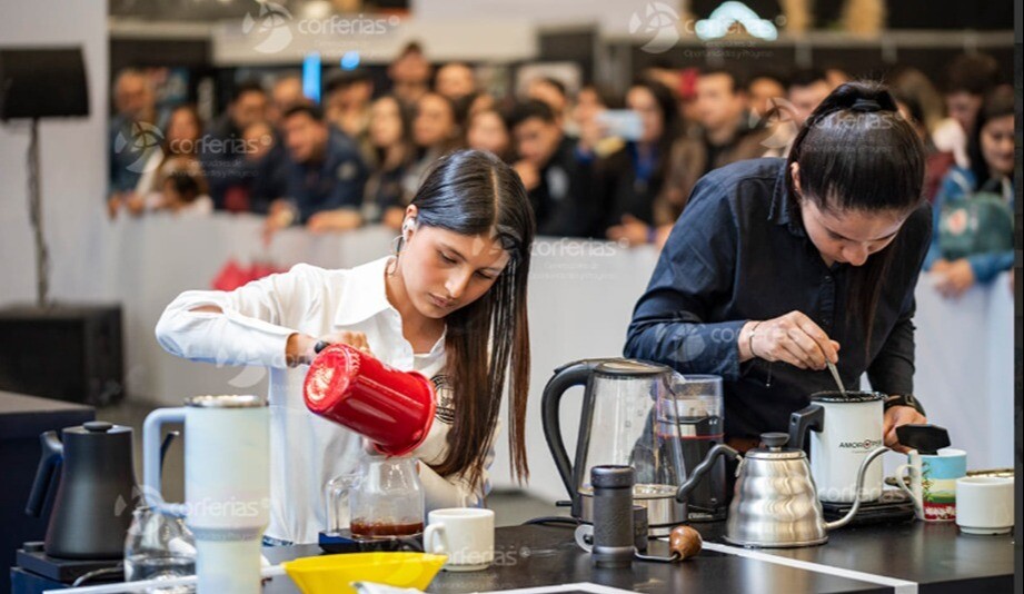 El Tolima en Cafés de Colombia Expo 2026