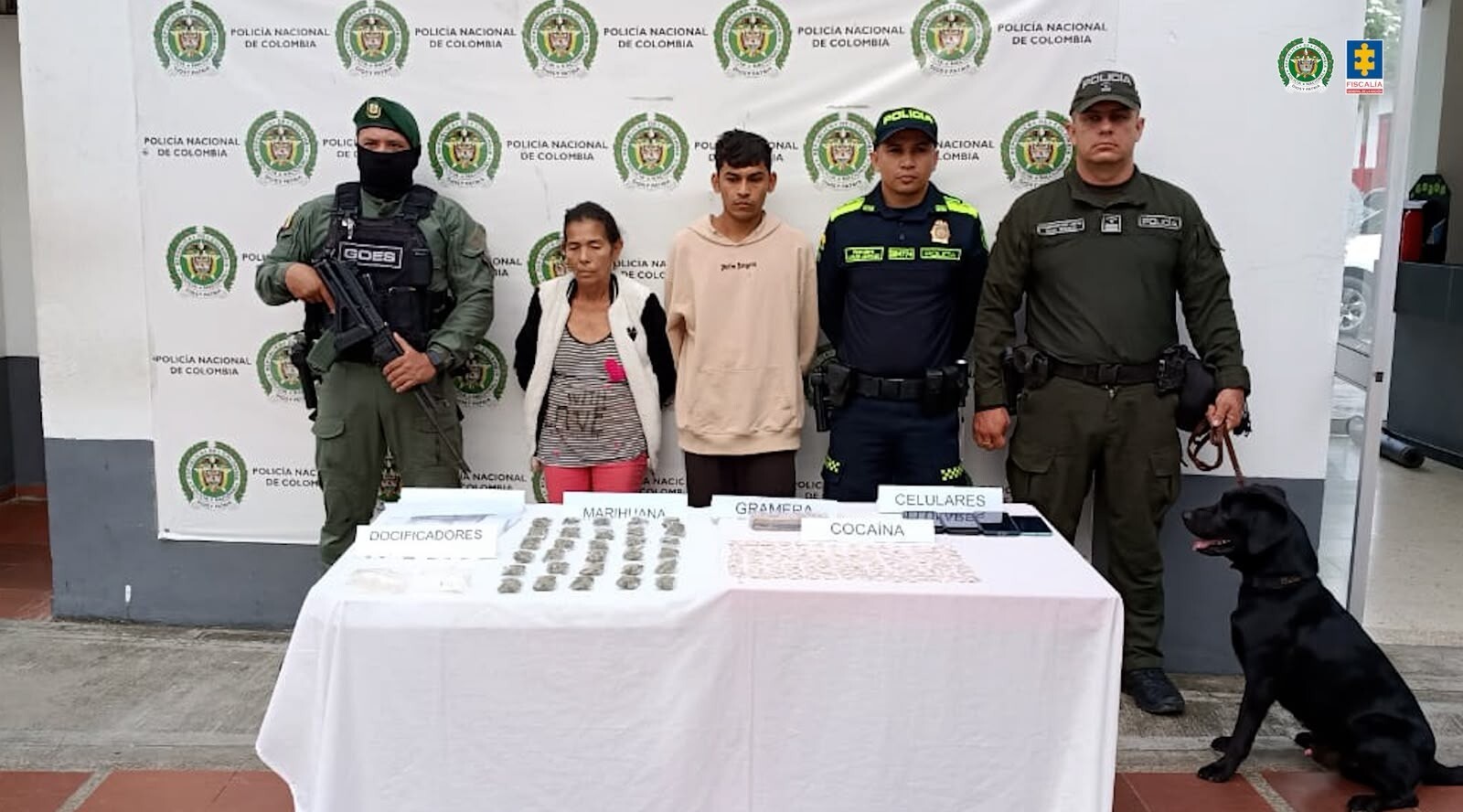 Golpes a estructuras criminales dedicadas al microtráfico en el Tolima