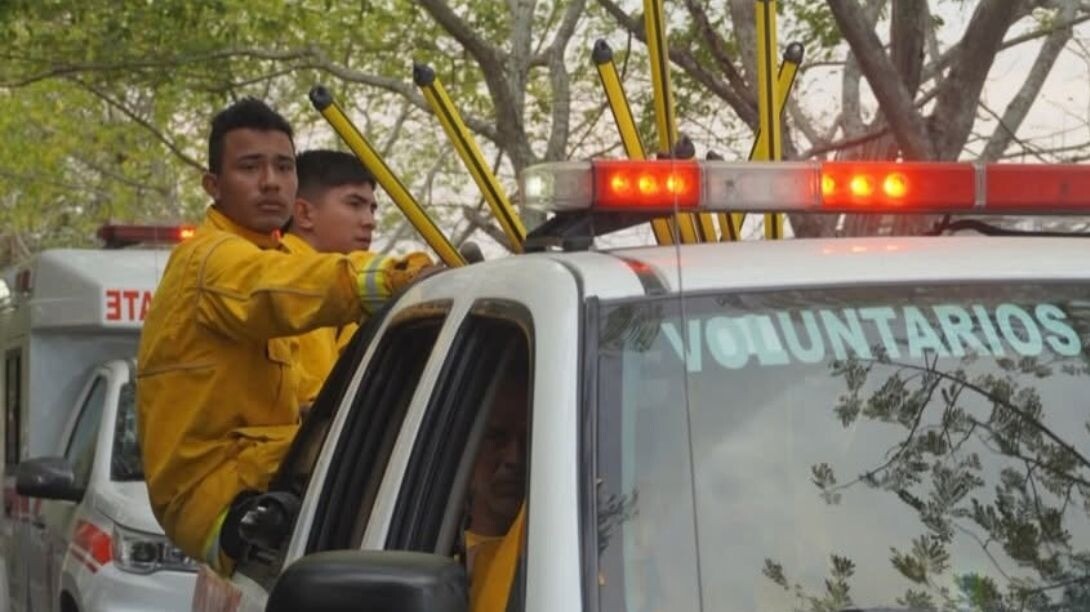 Estudiantes universitarios se formarán como brigadistas forestales en el Tolima