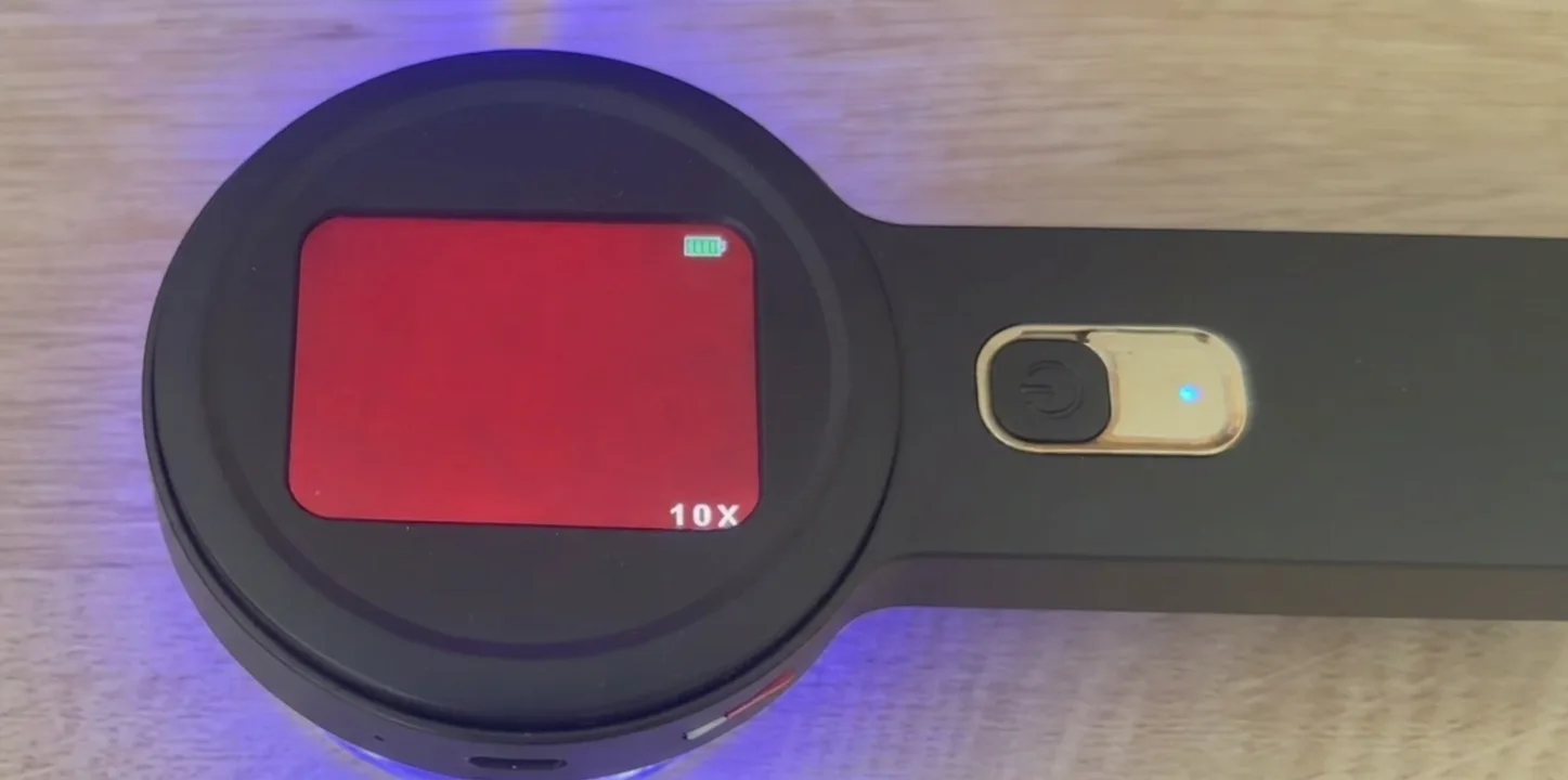 Clean microscope view — an even red field with no particles (example 1)