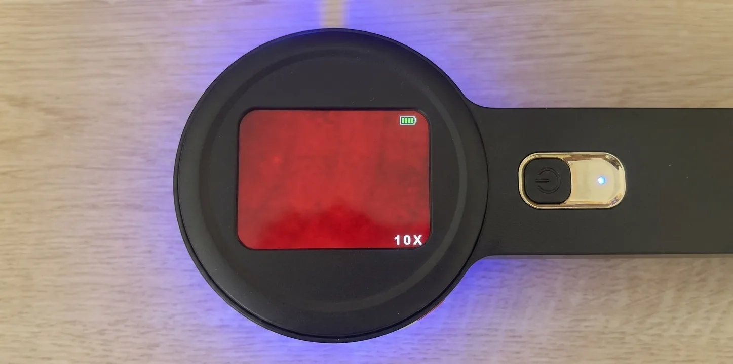 Clean microscope view — an even red field with no particles (example 3)