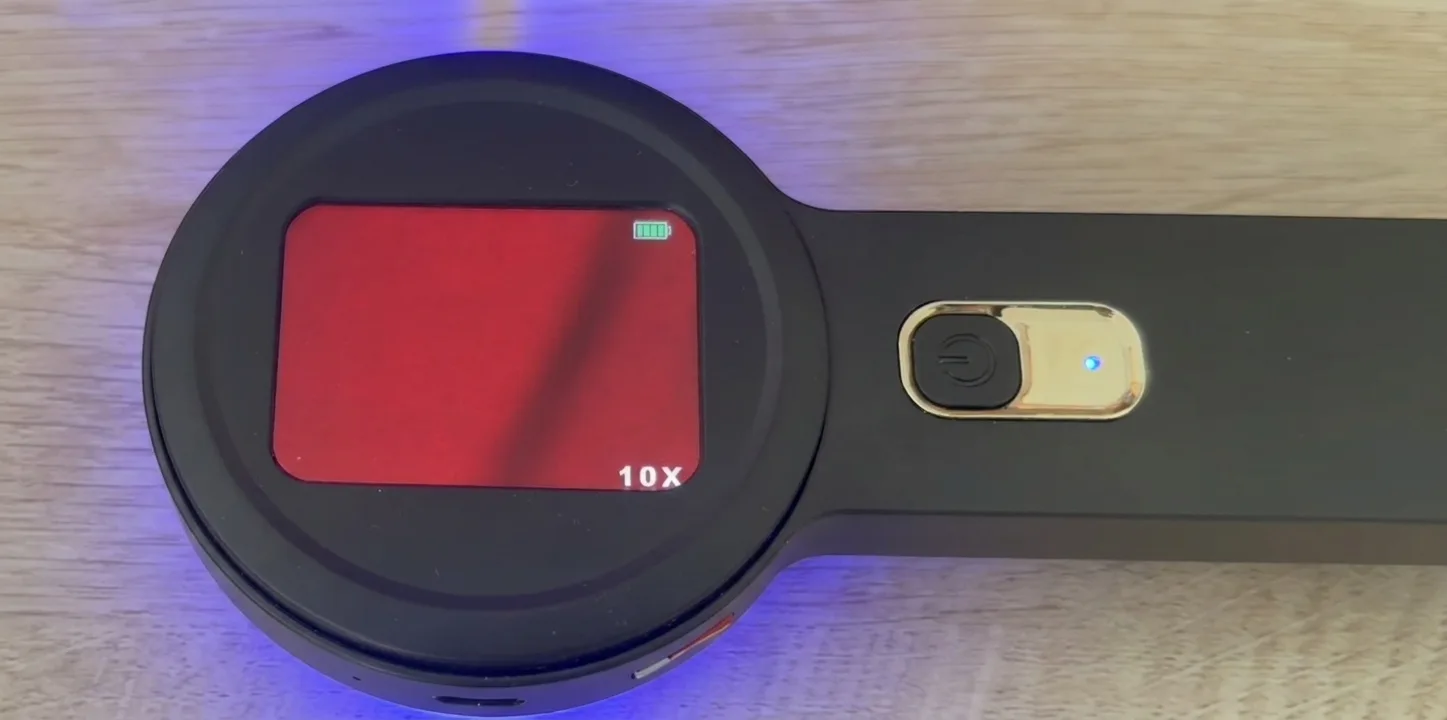 Clean microscope view — an even red field with no particles (example 4)